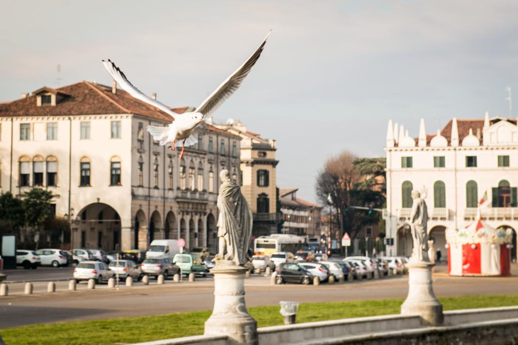 Myplace Prato Della Valle Apartments Padova Exterior photo